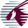 Qatar Airways